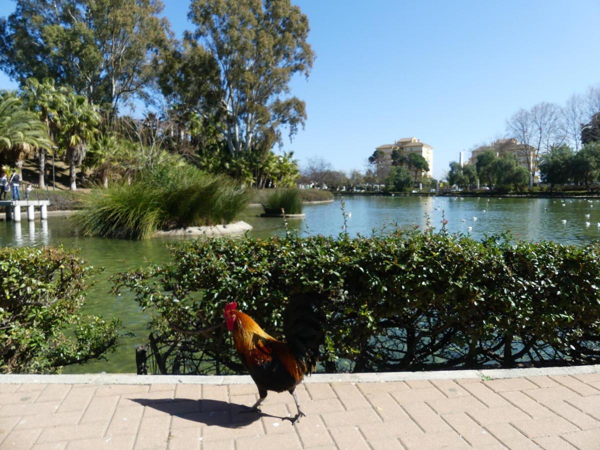 La Carihuela Torremolinos - Studio 3 - Costa Sol Holiday Rentals エクステリア 写真